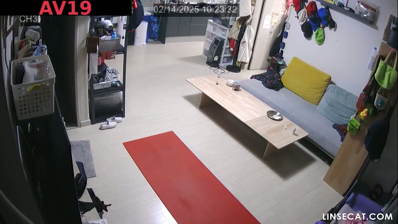 [신작] 2026년 5월 최신 유출 영상. 부산의 한 가정집에서 운동하던 중 남편의 성욕을 자극받은 아내가 …
